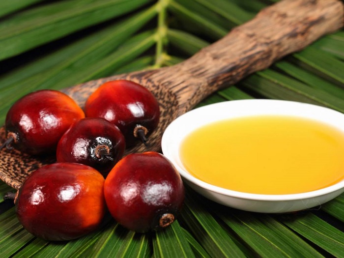 Изображение ингредиентов пальмового олеина
