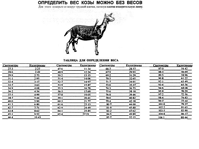 Кормление козлят с рождения таблица. Определение веса коз по таблице. Таблица определения веса козы. Вес козленка по месяцам таблица. Таблица расчёта веса козы.