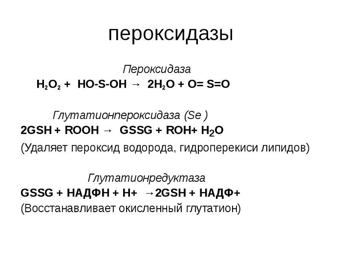 Пероксидаза функции