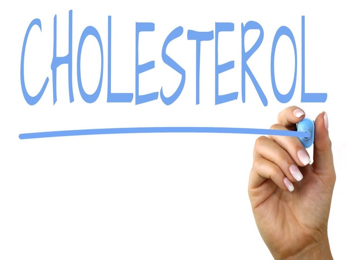 Влияние холестерина на развитие атеросклероза