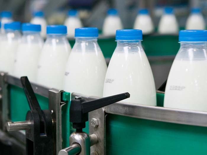 Маркировка молока на заводе